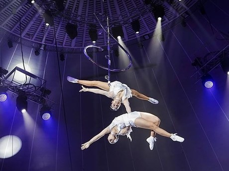 El espectáculo "Du Son" de Vietnam gana el premio de oro en el Festival Princesa del Circo en Rusia. (Fotografía: Federación de de Vietnam)