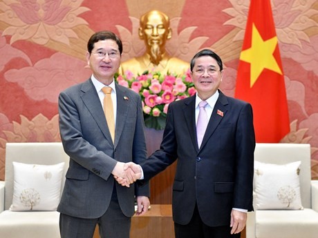 El vicepresidente de la Asamblea Nacional de Vietnam, Nguyen Duc Hai, recibe a Kim Hak-yong, miembro de la y expresidente del Grupo Parlamentario de Amistad entre ambos países (Foto: quochoi.vn)
