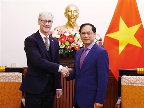 El canciller vietnamita, Bui Thanh Son, y el secretario de Estado para Asuntos Exteriores de Noruega, Erling Rimestad (Foto: VNA)