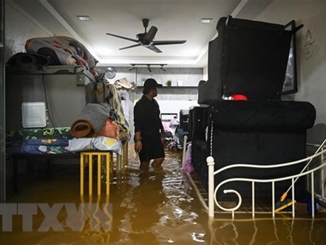 Inundaciones en el estado de Johor (Foto: AFP/VNA)