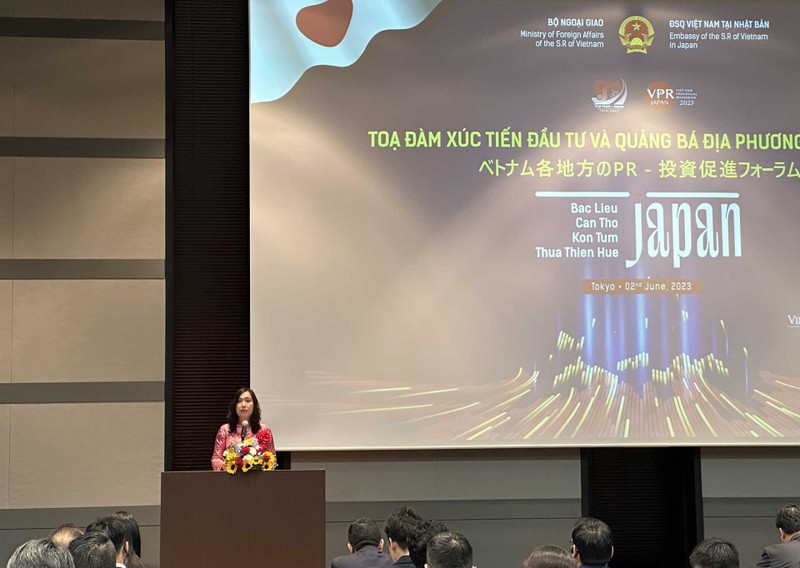 La viceministra vietnamita de Relaciones Exteriores, Le Thi Thu Hang, interviene en el evento (Foto: baoquocte.vn)