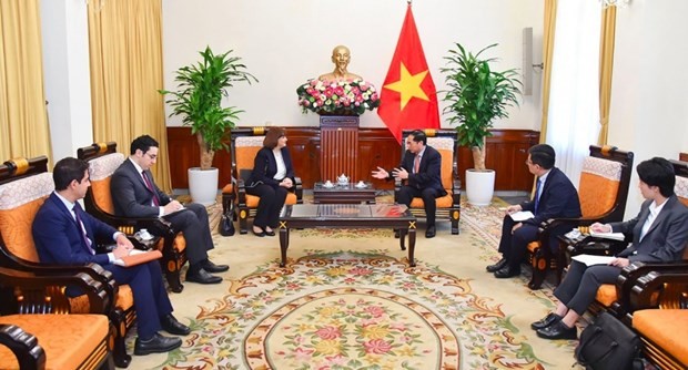 El ministro de Relaciones Exteriores de Vietnam, Bui Thanh Son, recibe en Hanói a la embajadora de Egipto en el país, Amal Abdel Kader Elmorsi Salama (Foto:VNA)