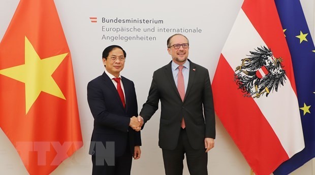 El ministro de Relaciones Exteriores de Vietnam, Bui Thanh Son (izquierda) y su homólogo austriaco, Alexander Schallenberg. (Foto: VNA)