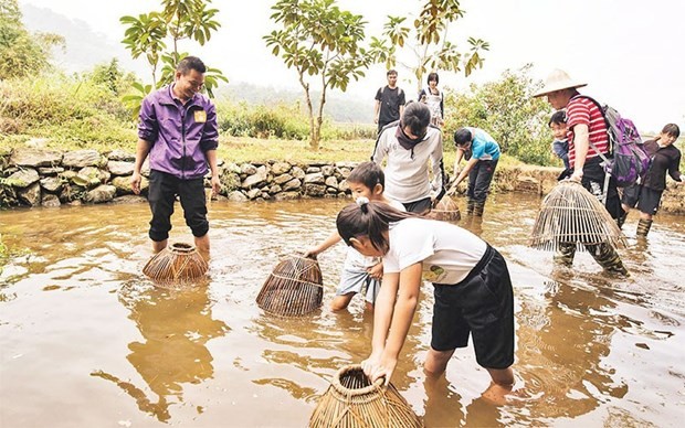 Turistas experimentan el agroturismo en la granja de Dong Que (Foto: nhandan.vn)