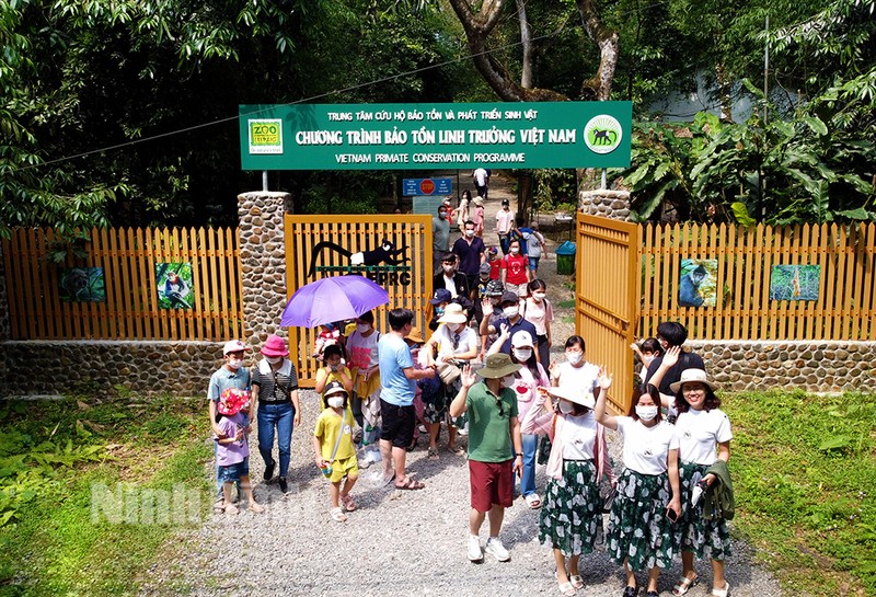 Turistas en el Parque Nacional de Cuc Phuong (Foto: baoninhbinh.org.vn)