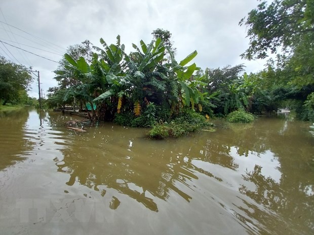 Fuertes lluvias provocan inundaciones en el distrito de Quang Dien, provincia central de Thua Thien-Hue. (Foto: VNA)
