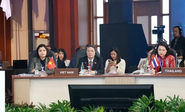El vicepresidente de la Asamblea Nacional de Vietnam Nguyen Duc Hai participa en la cita. (Foto: VNA)