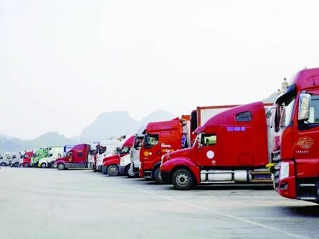 Contenedores que transportan productos agrícolas vietnamitas a China en la puerta fronteriza de Tan Thanh y Huu Nghi (Lang Son). (Foto: sggp.org.vn)