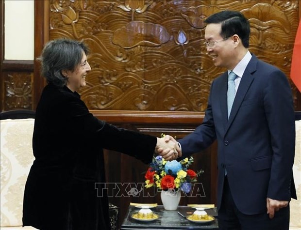 El presidente de Vietnam, Vo Van Thuong, recibe a la saliente embajadora de Madrid en Hanoi, Pilar Méndez Jiménez. (Foto: VNA)