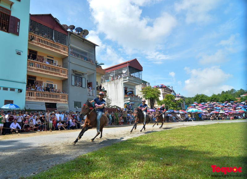 Carreras de caballos en meseta de Bac Ha, belleza de Patrimonio Cultural Intangible Nacional 