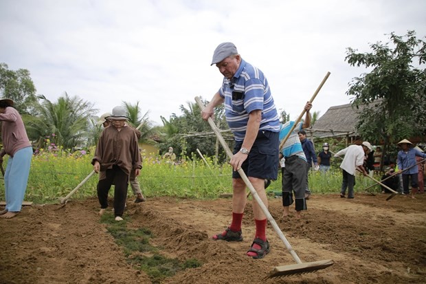 El turista Michel (de Francia) experimenta el cultivo de verduras en Tra Que (Foto: sggp.org.vn)