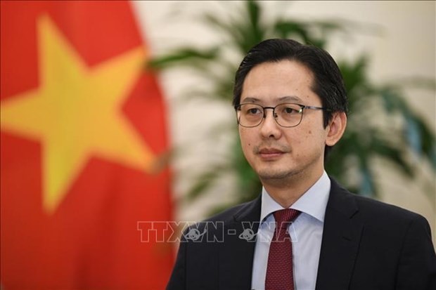 Do Viet Hung, viceministro de Relaciones Exteriores de Vietnam (Foto: VNA)