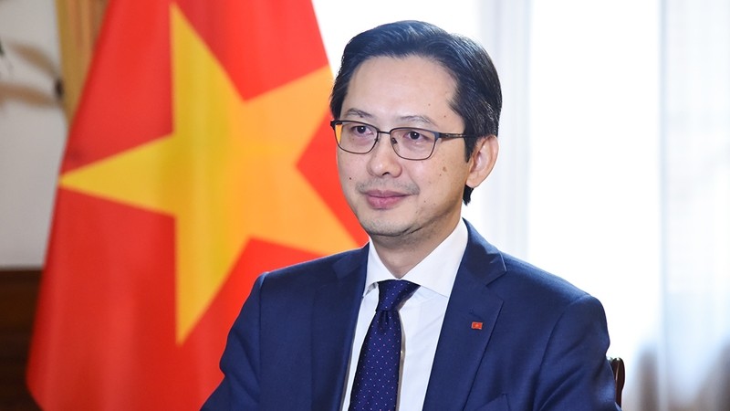 Do Hung Viet, viceministro de Relaciones Exteriores de Vietnam (Foto:VNA)