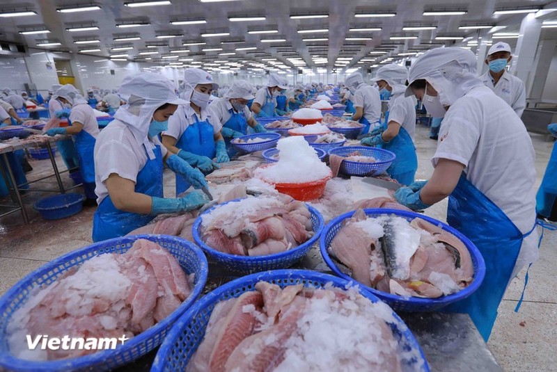 Procesamiento de productos del mar para la exportación (Foto: VNA)