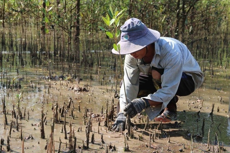 Vietnam adopta medidas para la protección del medio ambiente