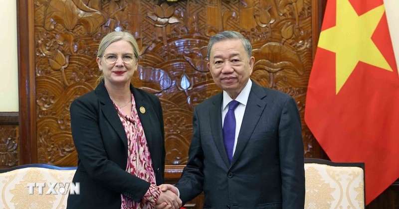 El presidente vietnamita, To Lam, recibe a la embajadora sueca, Ann Mawe.