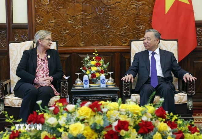 El presidente To Lam recibe a la embajadora de Suecia en Vietnam, Ann Mawe. (Foto: Nhan Dan)