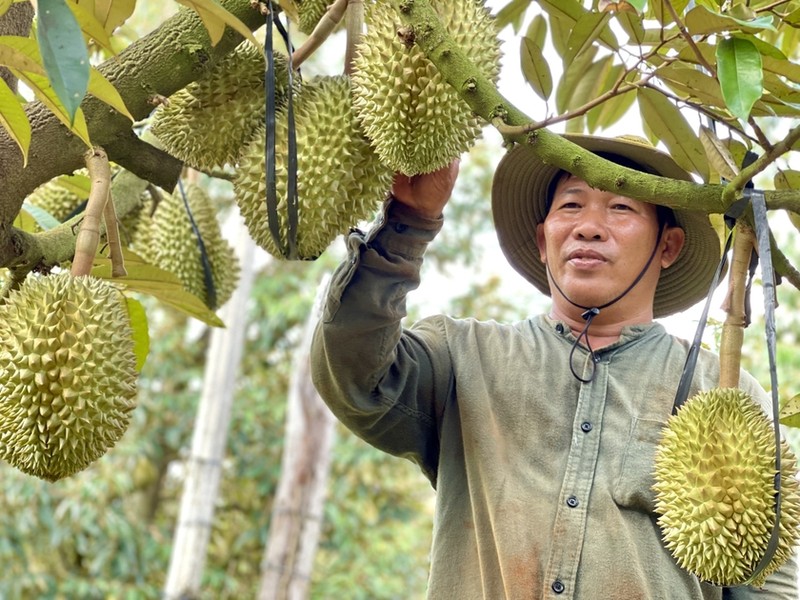 (Foto: baodaknong.vn)