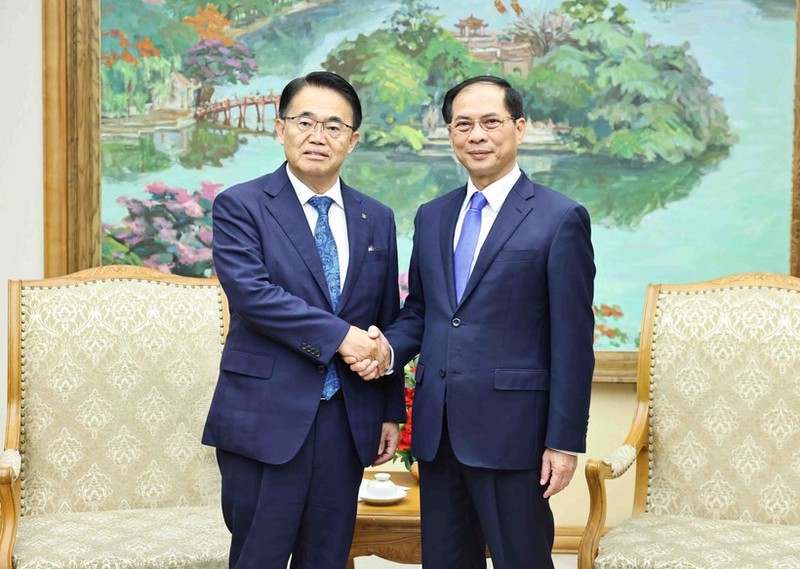 El vicepremier y canciller, Bui Thanh Son (derecha), y el gobernador de la prefectura de Aichi, Japón, Omura Hideaki. (Foto: VNA)