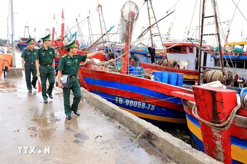 La fuerza fronteriza realiza inspección en el puerto pesquero de Tan Son, distrito de Thai Thuy, provincia de Thai Binh. (Foto: VNA)