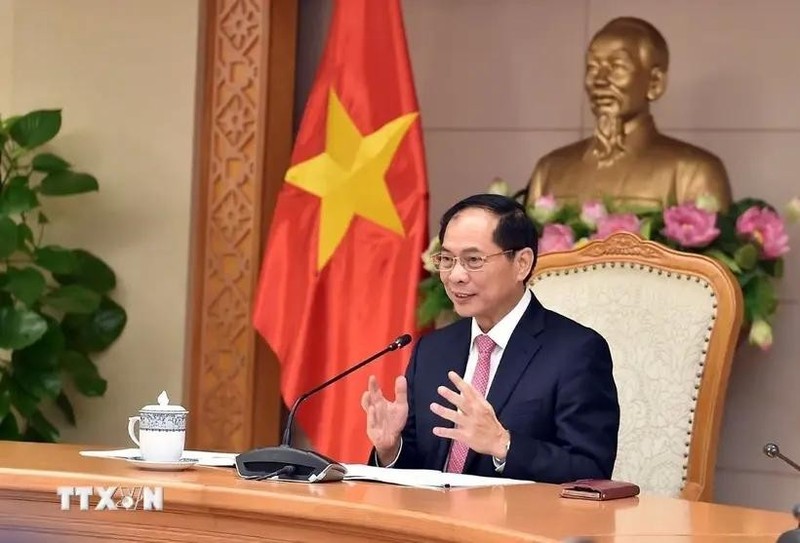 El viceprimer ministro y canciller de Vietnam, Bui Thanh Son. (Foto: VNA)