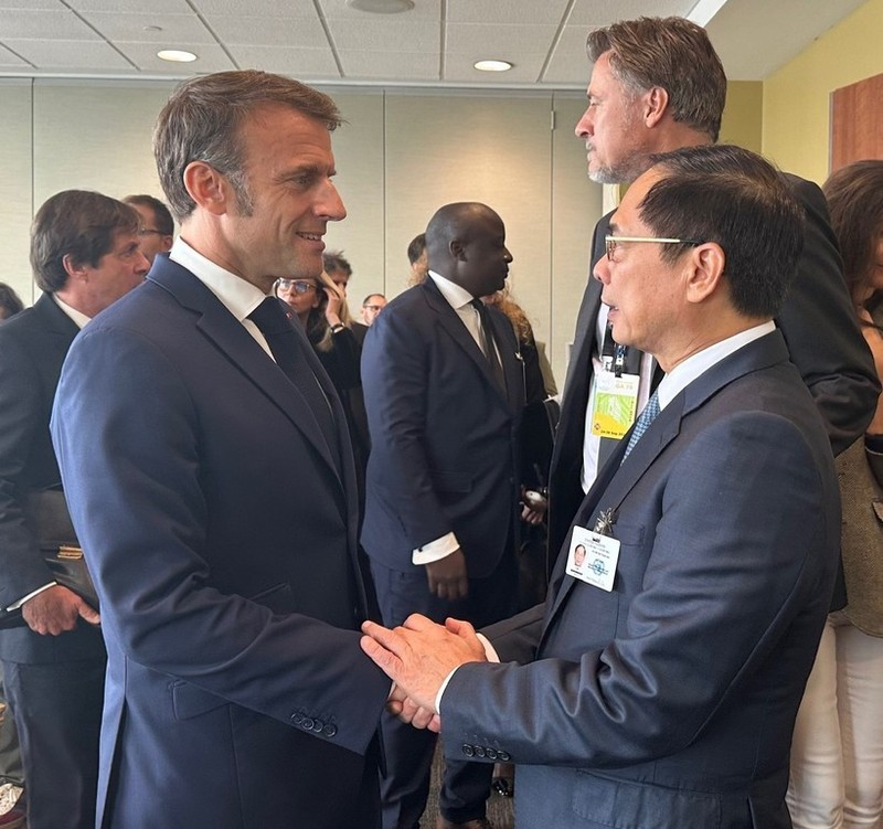 El viceprimer ministro y canciller de Vietnam, Bui Thanh Son, y el presidente francés, Emmanuel Macron. (Foto: VNA)