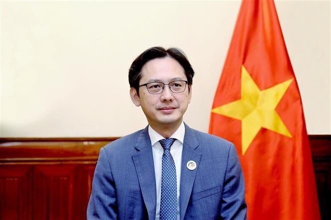 El viceministro de Relaciones Exteriores de la nación indochina Do Hung Viet. (Foto: VNA)