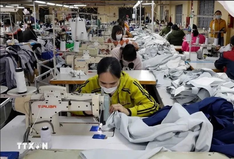 En una fábrica de empresa de prendas de vestir para la exportación en la provincia norteña de Ha Nam (Foto: VNA)