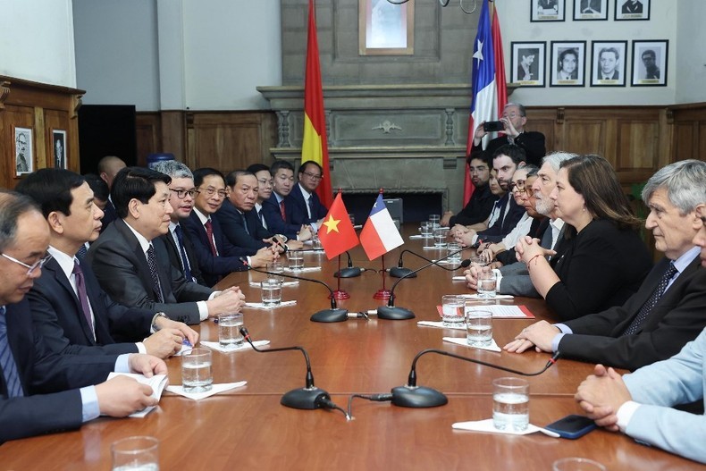 El presidente Luong Cuong recibe a la titular del Partido Socialista de Chile, Paulina Vodanovic. (Foto: VNA)