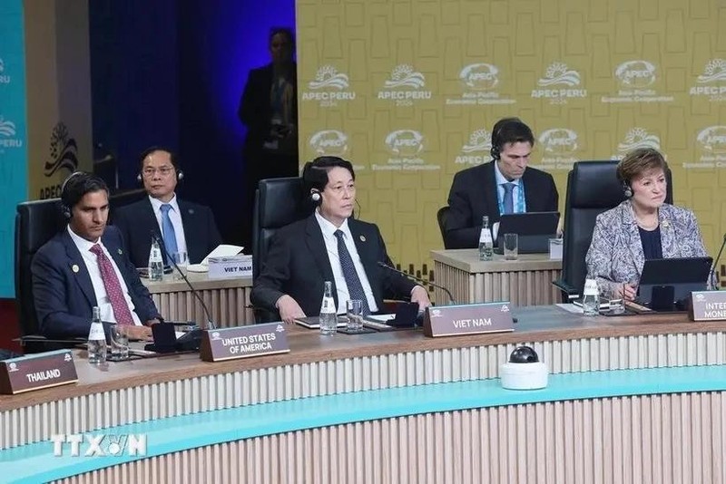 El presidente Luong Cuong en la 31ª Reunión de Líderes Económicos de la APEC en Perú. (Foto: VNA)