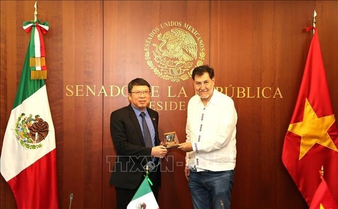 El presidente del Senado de México, Gerardo Fernández Noroña, entregó un regalo de recuerdo al embajador designado vietnamita, Nguyen Van Hai. (Foto: VNA)