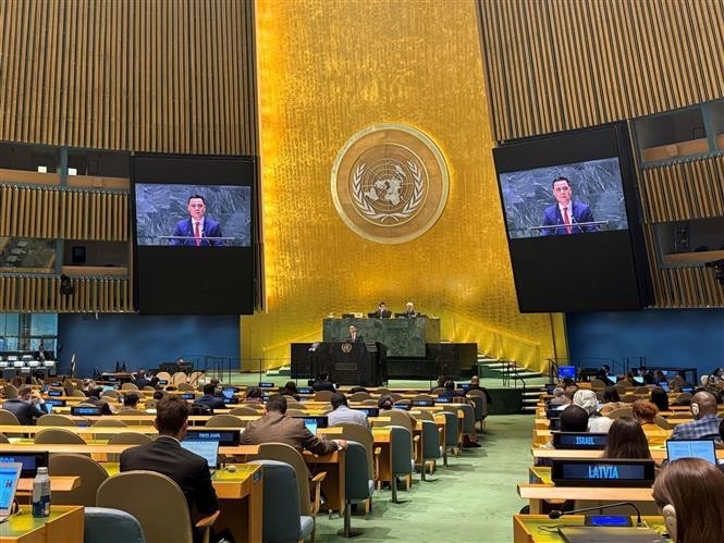 El embajador Dang Hoang Giang pronuncia su discurso en la sesión de debate. (Foto: VNA)