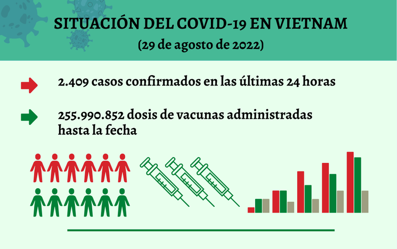 Infografía: Actualización sobre la situación del Covid-19 en Vietnam - 29 de agosto de 2022