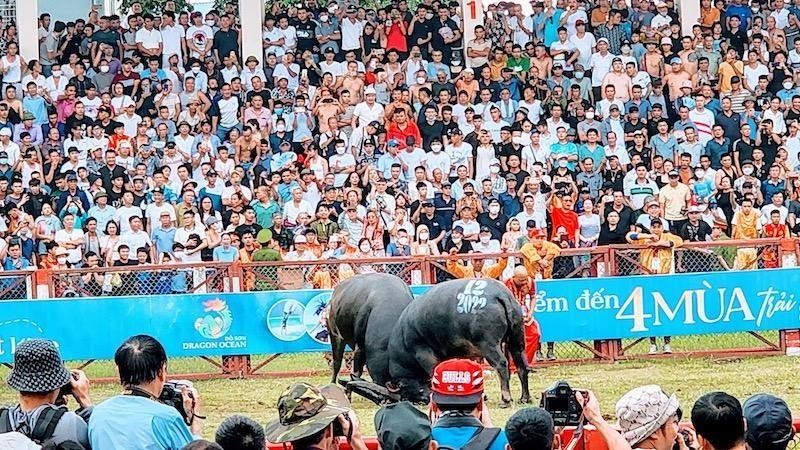 El Festival de Lucha de búfalos de Do Son.