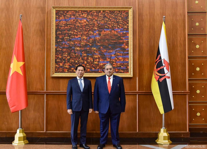 El canciller de Vietnam, Bui Thanh Son (izquierda), y el segundo ministro de Relaciones Exteriores de Brunei, Darussalam Dato Erywan Pehin Yusof. (Fotografía: baoquocte.vn)