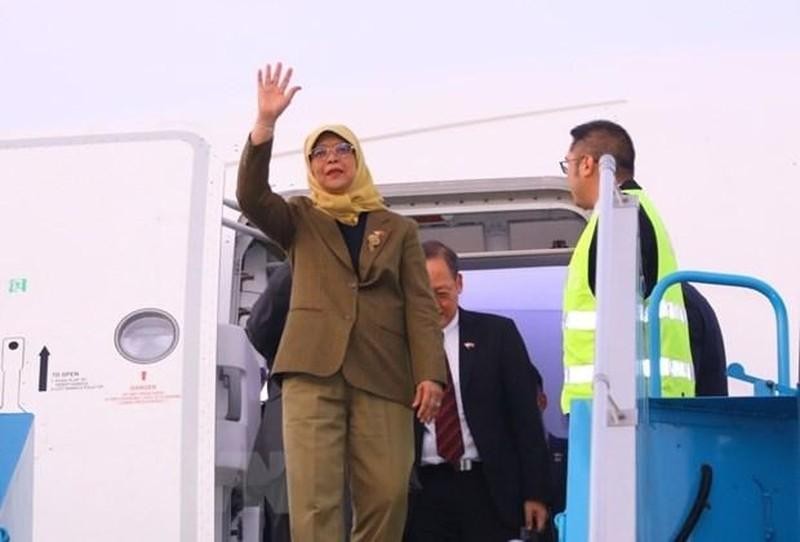 La presidenta de Singapur, Halimah Yacob, inicia visita a Vietnam. (Fotografía: VNA)