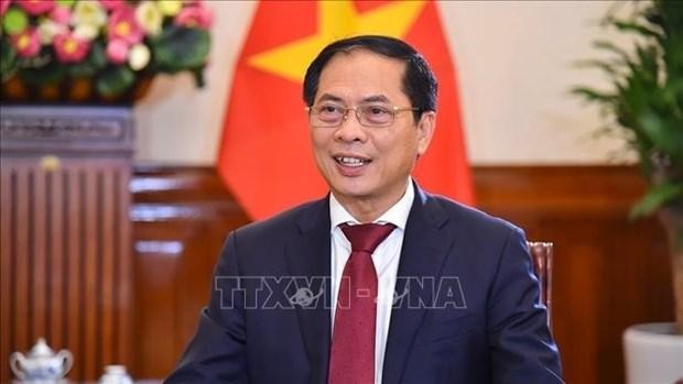 El ministro de Relaciones Exteriores de Vietnam, Bui Thanh Son (Fotografía: VNA)