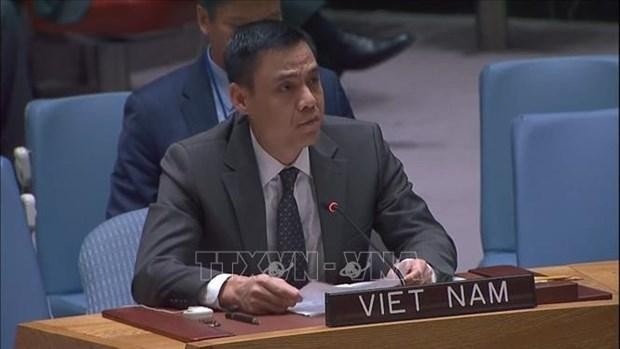 El embajador Dang Hoang Giang, representante permanente de Vietnam ante la ONU. (Fotografía: VNA)