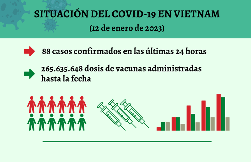 Infografía: Actualización sobre la situación del Covid-19 en Vietnam - 12 de enero de 2023