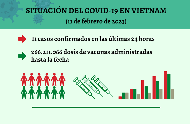 Infografía: Actualización sobre la situación del Covid-19 en Vietnam - 11 de febrero de 2023