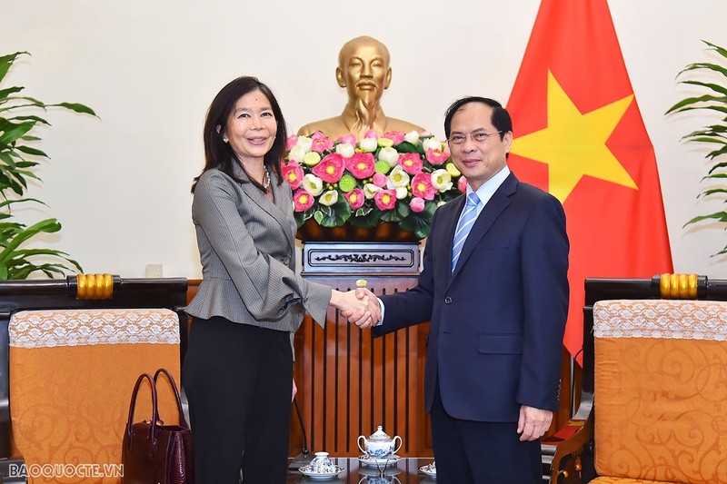 El canciller de Vietnam, Bui Thanh Son, recibe a Pauline Tamesis, coordinadora residente de las Naciones Unidas. (Fotografía: baoquocte.vn)