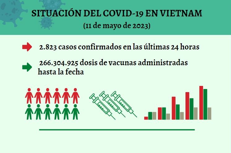 Infografía: Actualización sobre la situación del Covid-19 en Vietnam - 11 de mayo de 2023