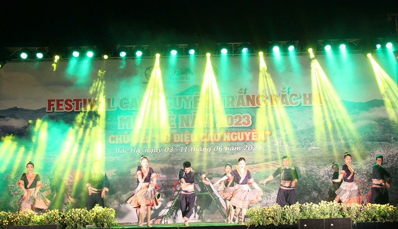Una actuación artística en el evento (Fotografía: baodantoc.vn)