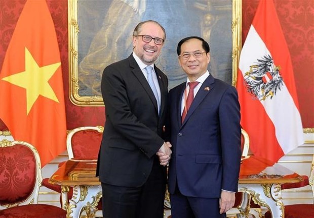 El ministro de Relaciones Exteriores de Vietnam, Bui Thanh Son, y su homólogo austriaco, Alexander Schallenberg (Fotografía: VNA) 