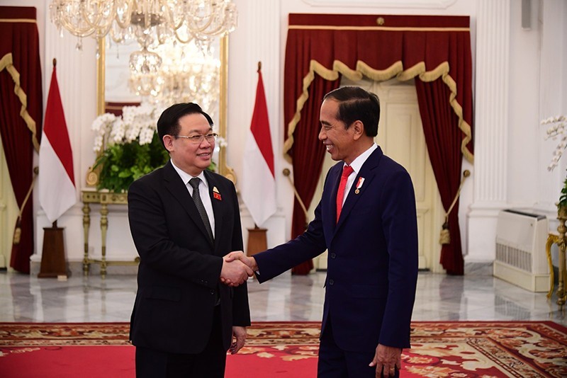 El titular de la Asamblea Nacional de Vietnam, Vuong Dinh Hue (izquierda), reúne con el presidente de Indonesia, Joko Widodo. (Fotografía: VNA)