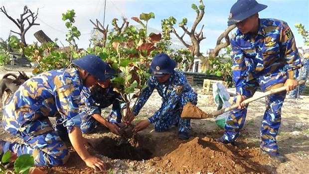 Soldados en Truong Sa plantan árboles (Fotografía: VNA)