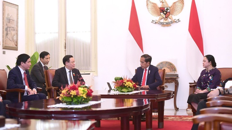 El titular de la Asamblea Nacional de Vietnam, Vuong Dinh Hue se reúne con el presidente de Indonesia, Joko Widodo. 