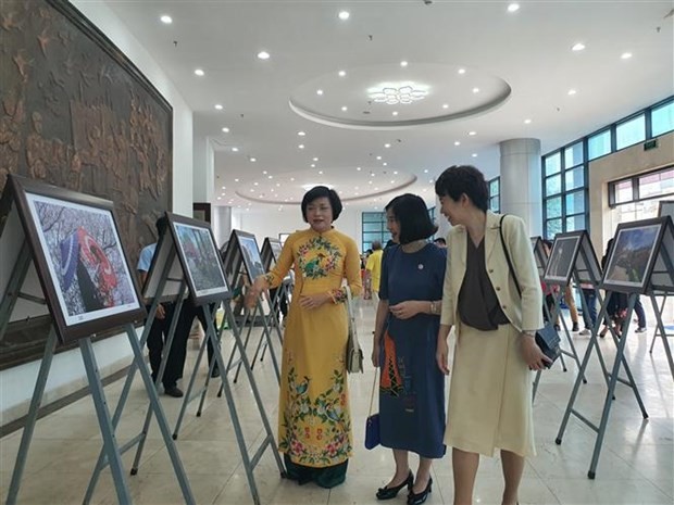 En la exposición fotográfica en el Festival Vietnam-Japón 2023 (Fotografía: VNA)
