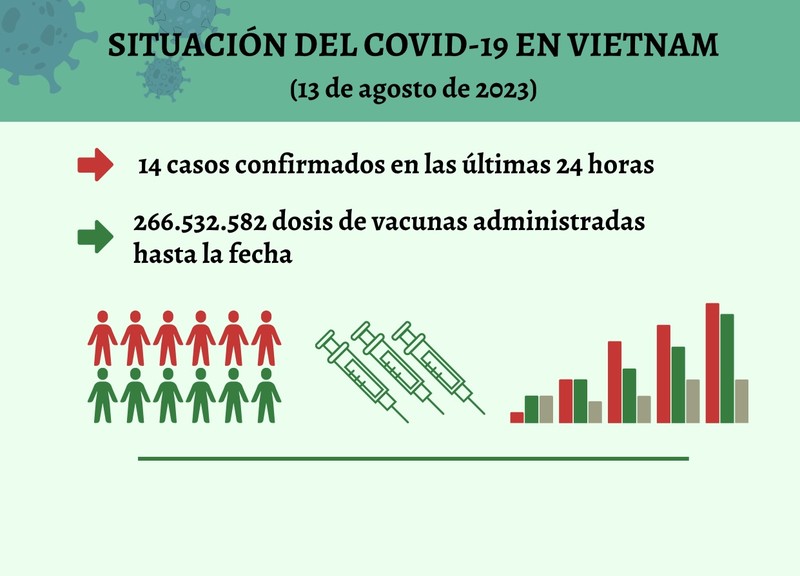 Infografía: Actualización sobre la situación del Covid-19 en Vietnam - 13 de agosto de 2023