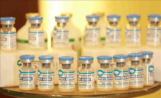 La vacuna NAVET-ASFVAC de la empresa nacional de medicina veterinaria Navetco (Fotografía: VNA)